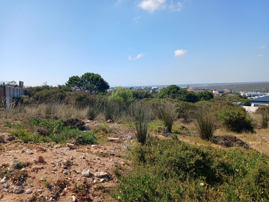 0 Bedroom Property for Sale in Stilbaai Wes Western Cape